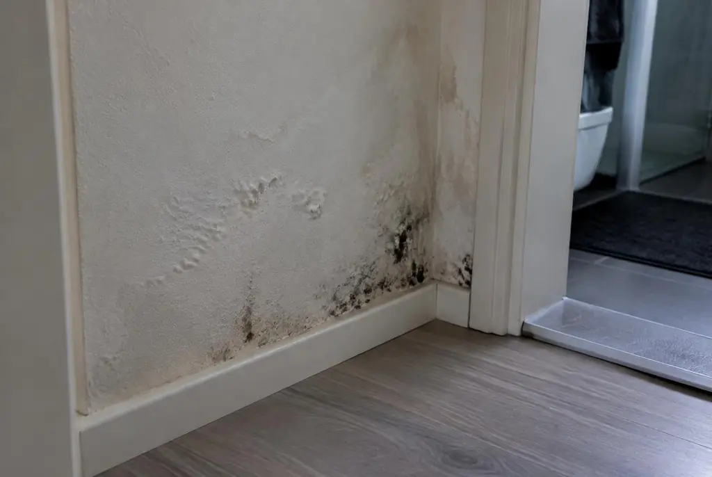 Lekdetectie Leersum – vochtplek met schimmel op een muur